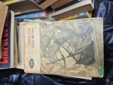 Omul de aur 1 vintage