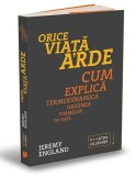 Orice viata arde. Cum explica termodinamica originea formelor de viata &ndash; Jeremy England