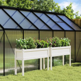 Gossi jardiniere de gradina cu picioare 2 buc. alb lemn masiv de pin