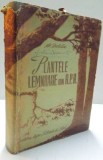 PLANTELE LEMNOASE DIN R.P.R. , 1953 *LIPSA PAGINA DE TITLU
