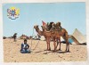Bnk cp Maroc - Beduin cu camila in desert - uzata, Necirculata, Printata