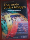 HOPCT DES MOTS ET DES IMAGES-L.LASSEUR G TALON/ -CUVINTE SI IMAGINI-1982-346 PAG
