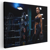 Tablou femeie ridicand greutati sala fitness Tablou canvas pe panza CU RAMA 80x120 cm