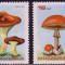 Mozambic 1986 - Ciuperci 4v.,neuzat,perfecta stare(z)