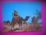 HOPCT 6699 OPRIRE IN DESERT -CAMILE - ALGERIA -AFRICA-NECIRCULATA, Printata