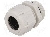 Presetupa poliamida, PG21, IP68, BM GROUP - 4021