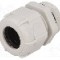 Presetupa poliamida, PG21, IP68, BM GROUP - 4021