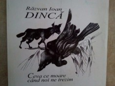 Razvan Ioan Dinca - Ceva ce moare cand noi ne trezim (Editia: 2011) foto