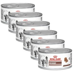 Royal Canin Veterinary Diet Recovery Feline/Canine Can 6 x 195 g foto