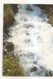 FA157 - Carte Postala - FRANTA - L'Ete dans les Alpes, necirculata
