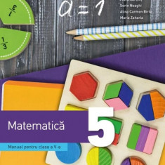 Matematica. Manual. Clasa a V-a Dorin Lint