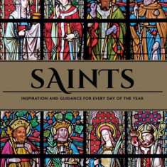 Saints: The Illustrated Book of Days Book of Saints Rediscover the Saints