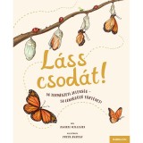 L&aacute;ss csod&aacute;t! - 50 term&eacute;szeti jelens&eacute;g - 50 lenyűg&ouml;ző t&ouml;rt&eacute;net - Rachel Williams