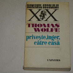 Priveste, inger, catre casa - Thomas Wolfe - 1977