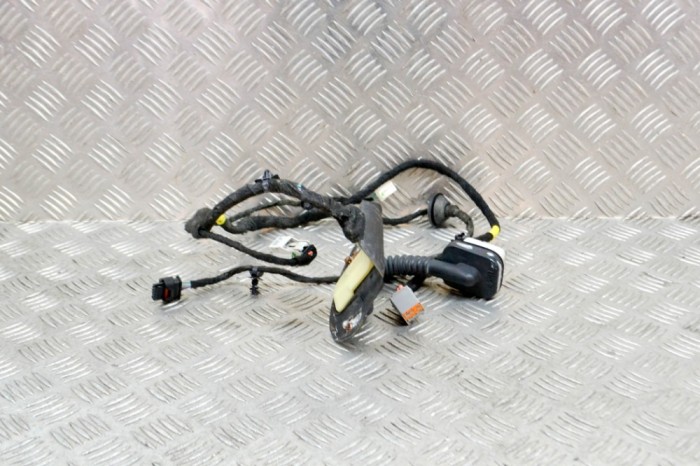 Cablaj ușă dreapta spate DODGE RAM 1500 Pick-up DJ, DS 2018 OEM: 7184-4230,16238CO | 13885999