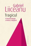 Tragicul - Hardcover - Gabriel Liiceanu - Humanitas