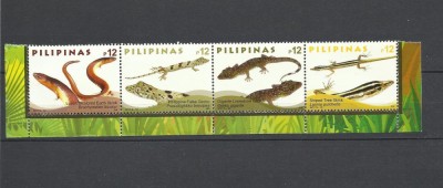 FILIPINE 2017 FAUNA SOPARLE foto