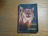 IONEL POP - Intilniri cu Animalele - Editura Stiintifica, 1960, 360 p.