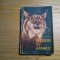 IONEL POP - Intilniri cu Animalele - Editura Stiintifica, 1960, 360 p.