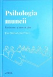 Psihologia Muncii: Randament si Stare de Bine - Jose Maria Leon Perez, Litera 2022, Psihologie, Cartonata