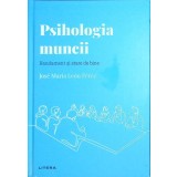 PSIHOLOGIA MUNCII. RANDAMENT SI STARE DE BINE-JOSE MARIA LEON PEREZ-259993