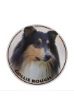 Autocolant pentru mașină 25 cm (9.8 Inch) Collie de munte 3D rupt amuzant reflectorizant pentru c&acirc;ine de companie etanș decor pentru parbriz