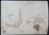 Fotografie tip Carte Postala, Grup de prieteni la iarba verde, perioada interbelica