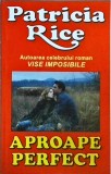 Patricia Rice - Aproape perfect