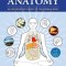 Holistic Anatomy: An Integrative Guide to the Human Body