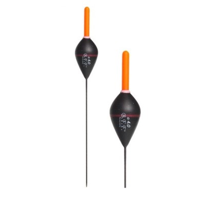 PLUTA BFF PORTSTARLITE TF5010 2.00GR foto