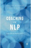 Coaching cu NLP, Curtea Veche