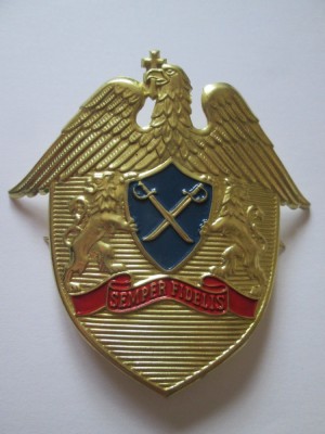 Cuc/Semn caschetă Serviciul de Protectie si Paza modelul mare 85 x82 mm anii 90 foto