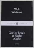 ON THE BEACH AT NIGHT ALONE by WALT WHITMAN , 2015