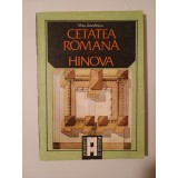 Mișu Davidescu - Cetatea romană de la Hinova