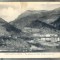 AD 135 C. P. VECHE -CHATILLON EN-DIOIS -VUE GENERALE -FRANTA 1918