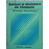 SUNTURI SI DIVIZOARE DE TENSIUNE-GH. HORTOPAN, VIORICA HORTOPAN-231668