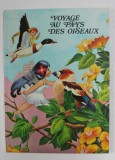 VOYAGE AU PAYS DES OISEAUX , 1968