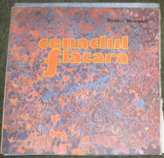 vinyl/vinil Adrian Paunescu - Cenaclul Flacara doar 2 discuri II si III foto