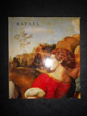 VASILE FLOREA - RAFAEL. ALBUM (1972, Maestrii Artei Universale) foto