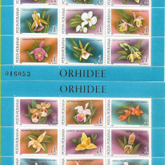 Colite Orhidee (2 blocuri cu acelasi nr.), 1988 - NEOBLITERATE