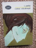 I. Peltz - Calea Vacaresti, Didactica si Pedagogica