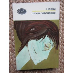 I. Peltz - Calea Vacaresti