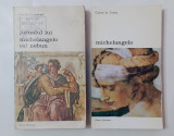 Jurnalul Lui Michelangelo Cel Nebun + Michelangelo - 2 Carti (VEZI DESCRIEREA)