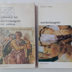 Jurnalul Lui Michelangelo Cel Nebun + Michelangelo - 2 Carti (VEZI DESCRIEREA)