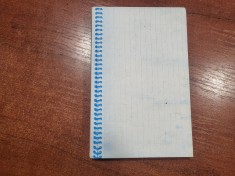 Cum sa-ti instruiesti parintii.Jurnalul meu bestial- Pete Johnson