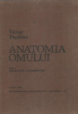 AS - PAPILIAN VICTOR - ANATOMIA OMULUI. VOL.1 - APARATUL LOCOMOTOR foto