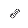 Arc spiral FIAT DUCATO platou sasiu 244 Magnum Technology