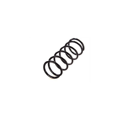 Arc spiral FIAT DUCATO platou sasiu 244 Magnum Technology foto