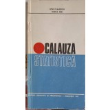 CALAUZA STATISTICA-ION IVANESCU, ELENA BIJI-255528