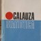 CALAUZA STATISTICA-ION IVANESCU, ELENA BIJI-255528